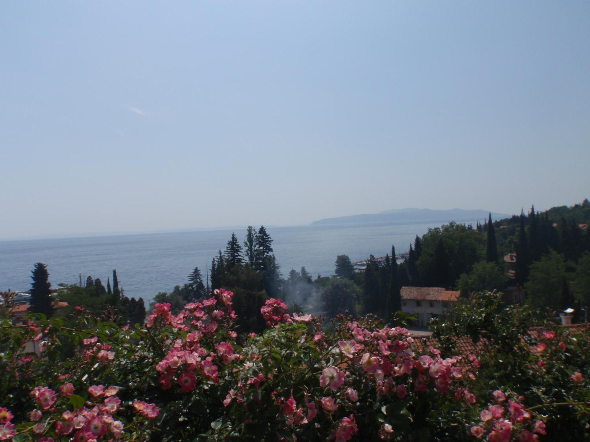 Villa Mihaela Ičići Buitenkant foto